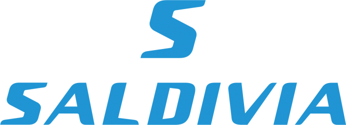 Saldivia Buses (Murabito María Carmen)